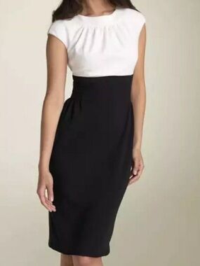 Dressbarn Two-Tone Dress